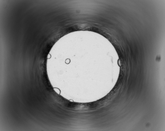 X0000103410319200810241214