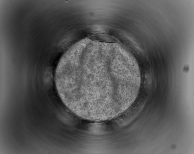 X0000103410320200810241214