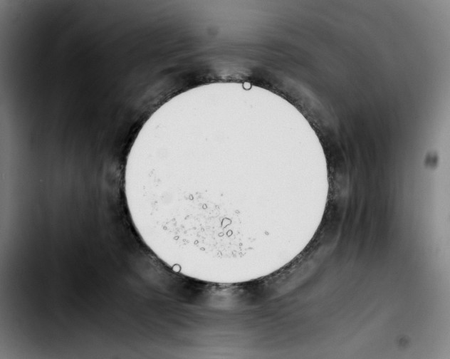 X0000103410321200810241214