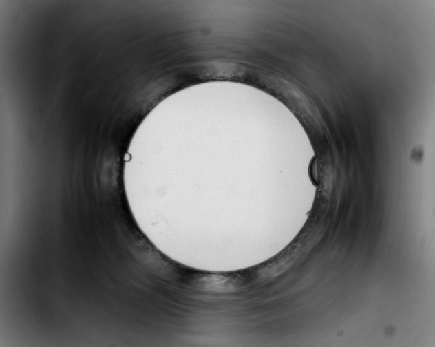 X0000103410326200810241214