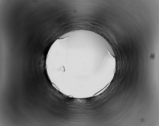 X0000103410328200810241214