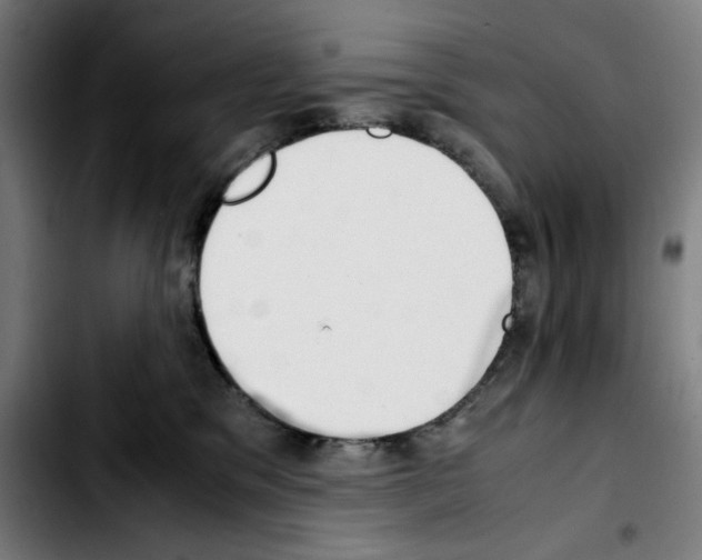 X0000103410329200810241214