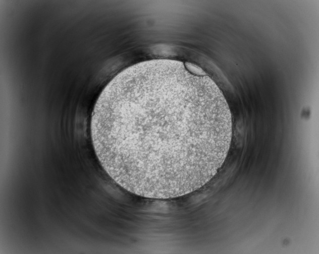 X0000103410330200810241214