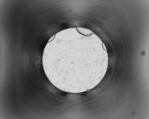 X0000103410331200810241214