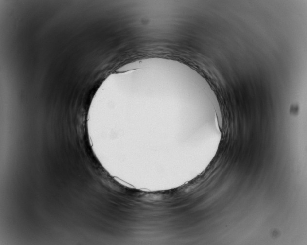 X0000103410332200810241214