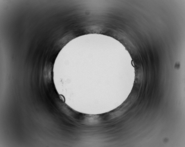 X0000103410334200810241214