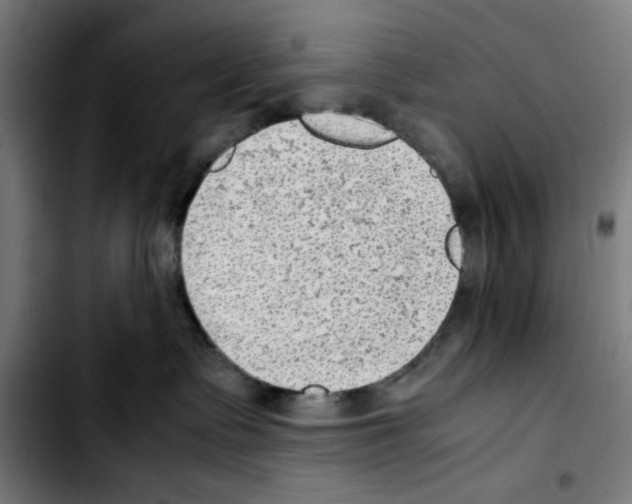 X0000103410335200810241214