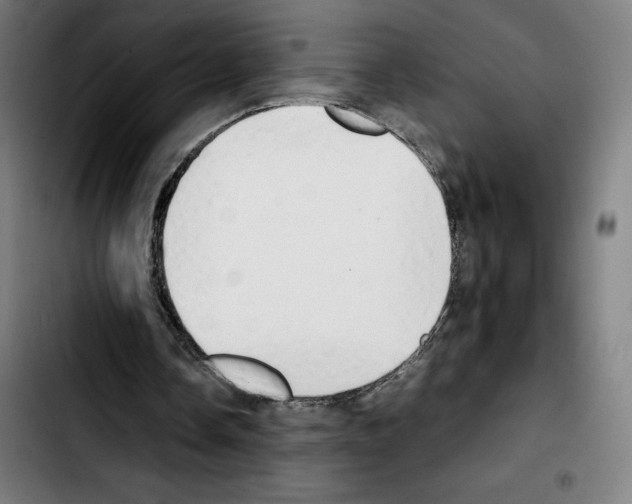 X0000103410338200810241213