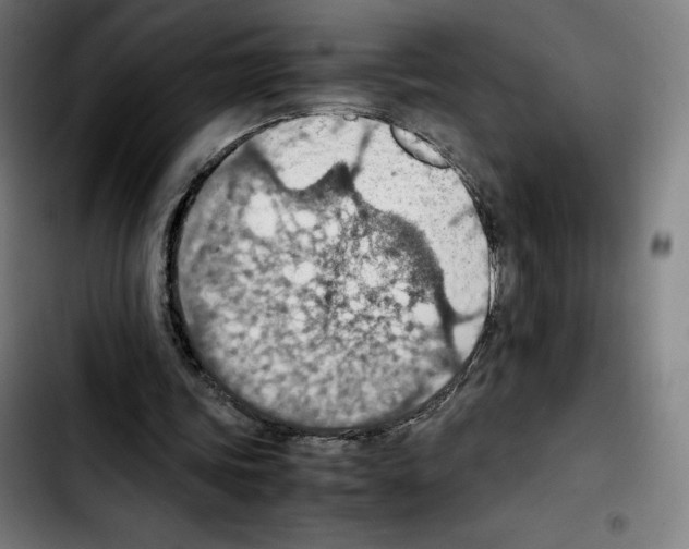 X0000103410339200810241214