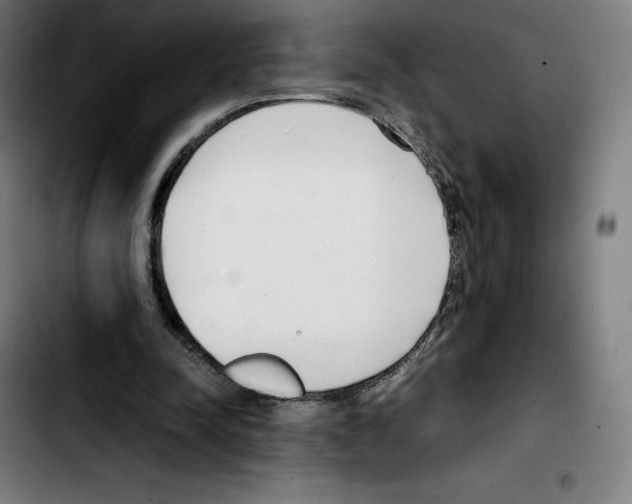 X0000103410342200810241214