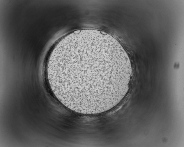 X0000103410343200810241214