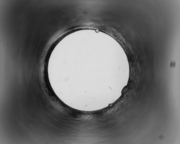 X0000103410344200810241214