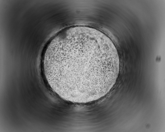 X0000103410346200810241214