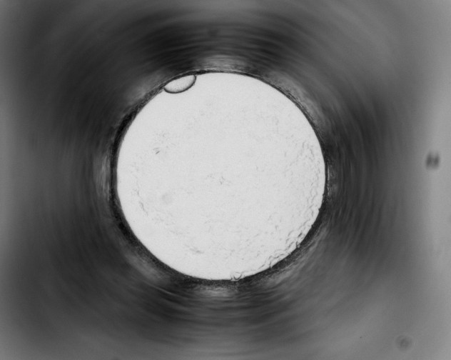 X0000103410349200810241214