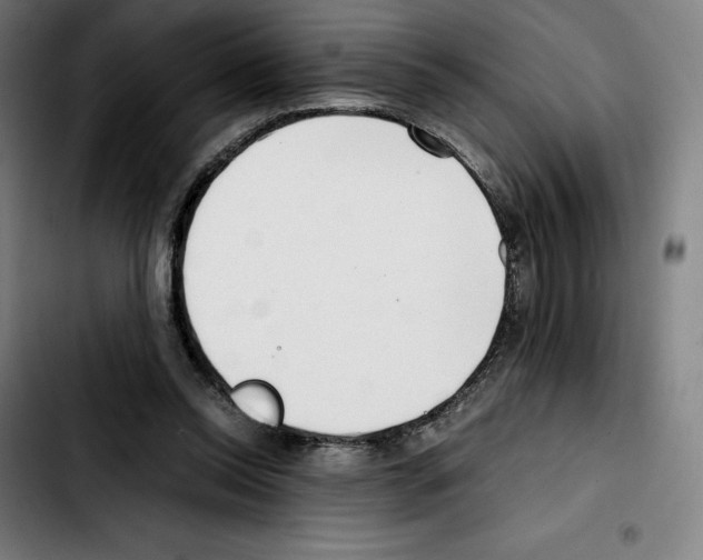 X0000103410350200810241214