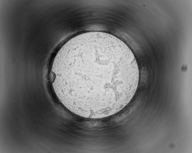 X0000103410351200810241214