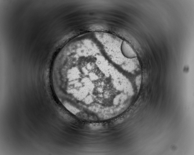 X0000103410353200810241214