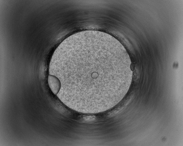 X0000103410355200810241214