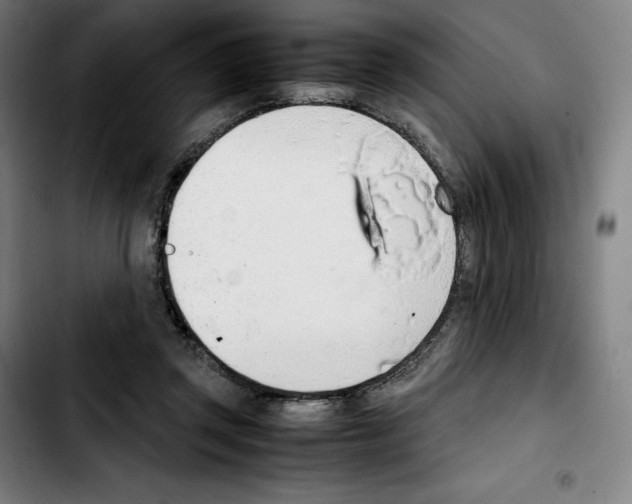 X0000103410357200810241214