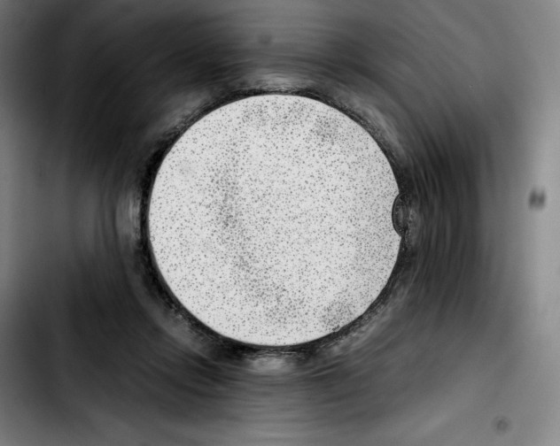 X0000103410358200810241214