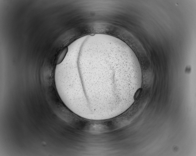 X0000103410360200810241214