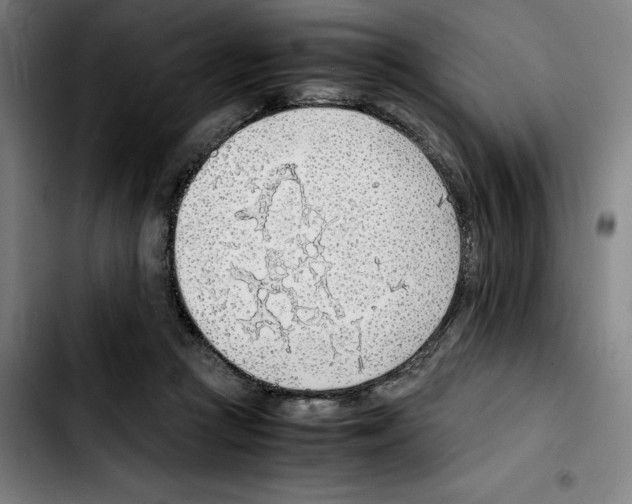 X0000103410361200810241214