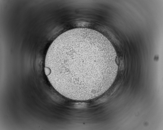 X0000103410363200810241214