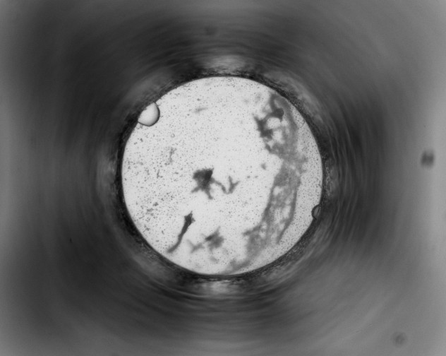 X0000103410365200810241214