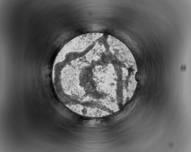 X0000103410366200810241214