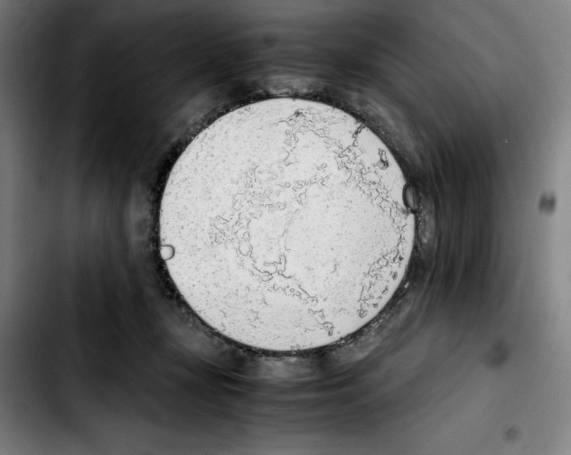 X0000103410367200810241214