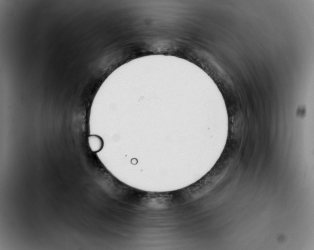 X0000103410368200810241214