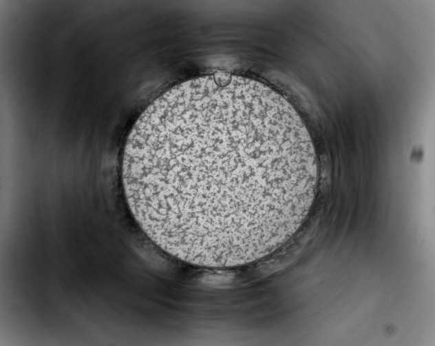 X0000103410369200810241214