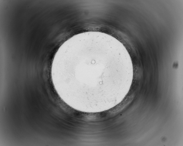 X0000103410370200810241214