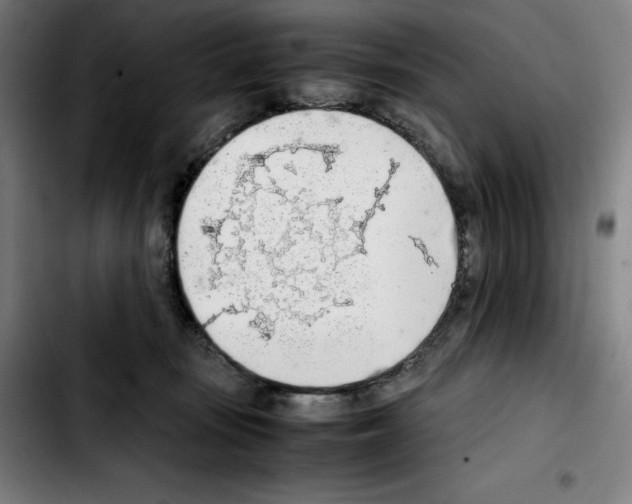 X0000103410371200810241214