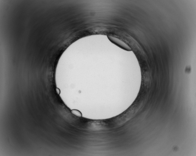 X0000103410372200810241214