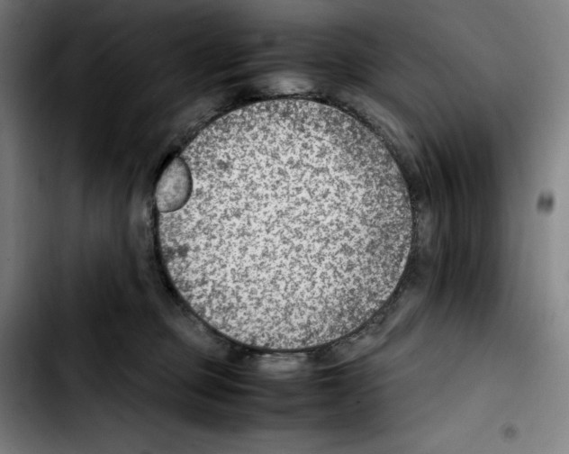 X0000103410373200810241214