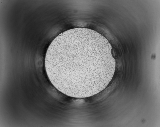 X0000103410374200810241214