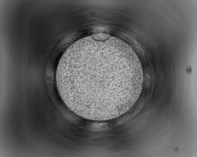 X0000103410375200810241214