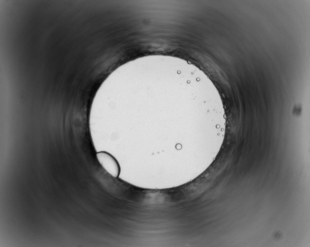 X0000103410376200810241214