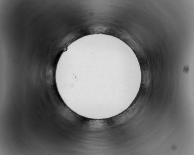 X0000103410378200810241214