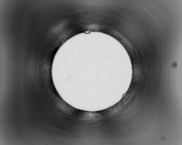 X0000103410379200810241214