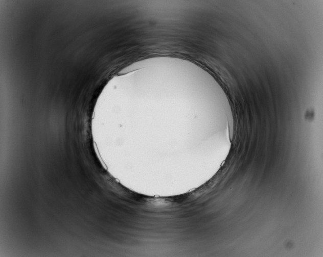 X0000103410380200810241214