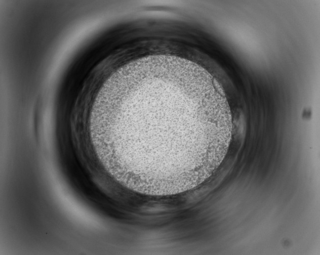 X0000103410381200810241214