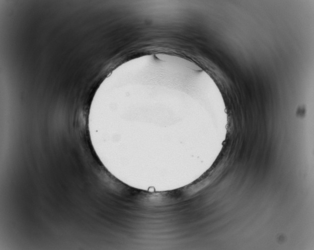 X0000103410382200810241214