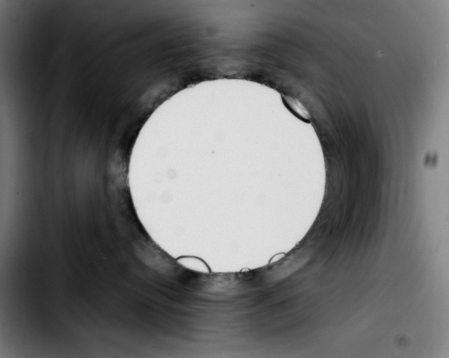 X0000103410384200810241214