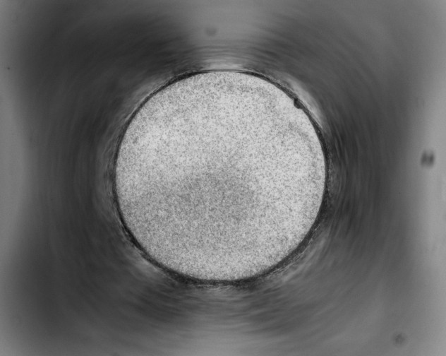 X0000103410385200810241213