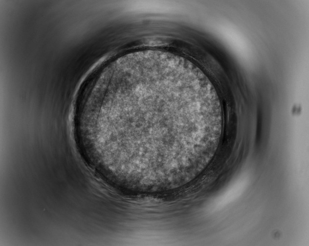 X0000103410387200810241213