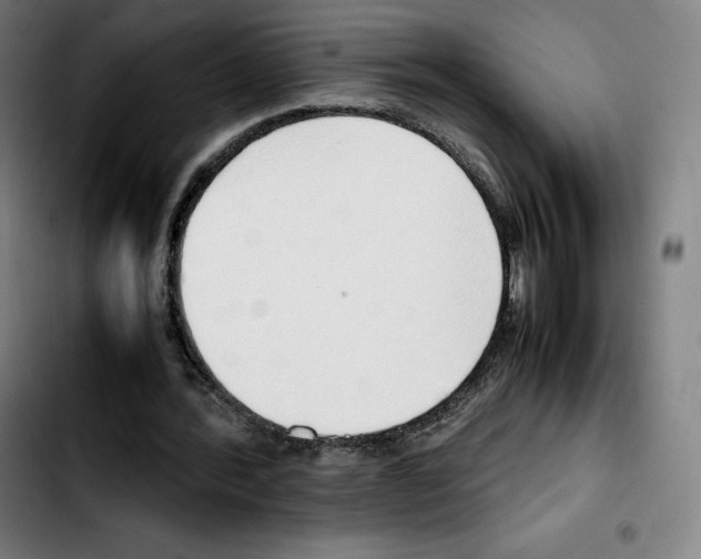 X0000103410388200810241213