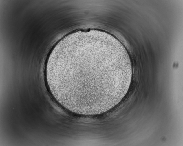 X0000103410389200810241213