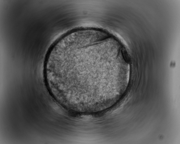 X0000103410391200810241213